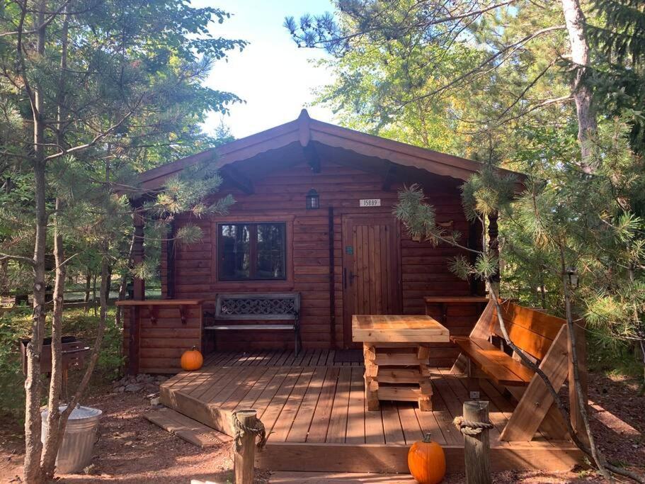 Honeybear Hideaway Cabin Hayward Esterno foto