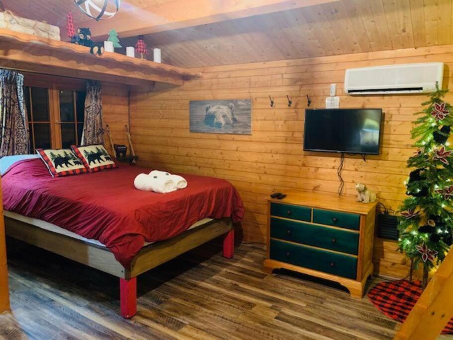Honeybear Hideaway Cabin Hayward Esterno foto