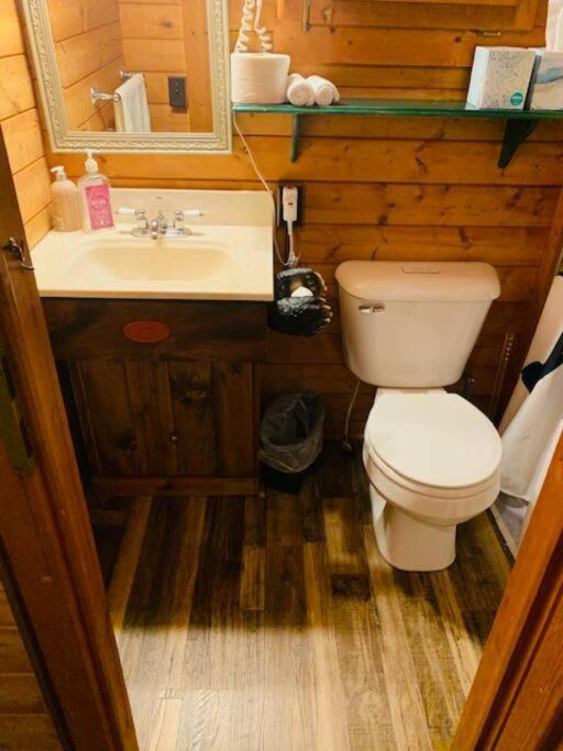 Honeybear Hideaway Cabin Hayward Esterno foto